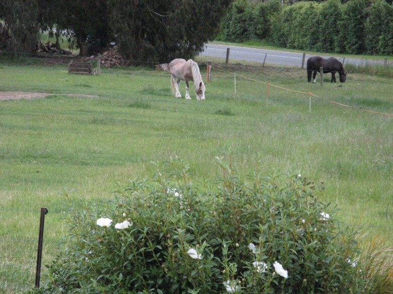 Bed & Breakfast Beaconsfield Homestay