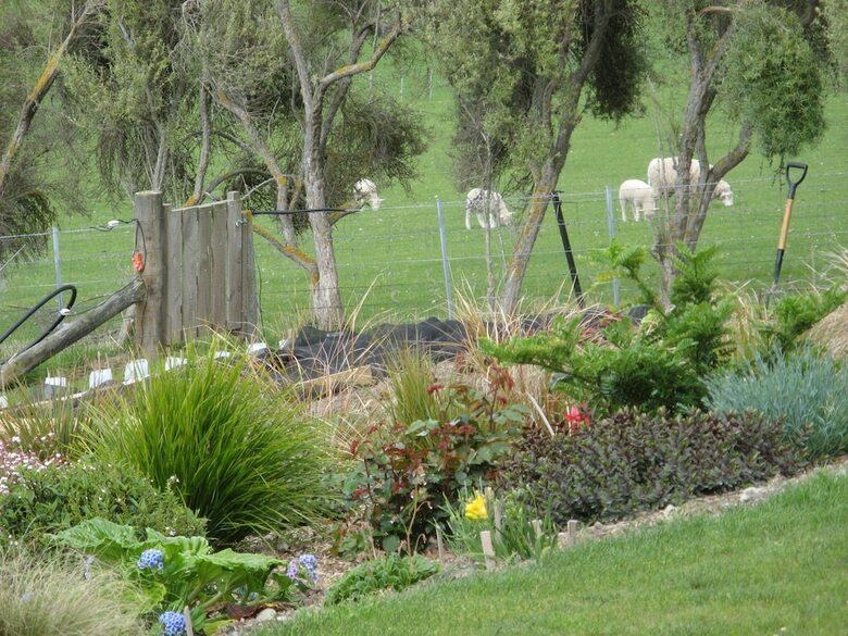 Bed & Breakfast Beaconsfield Homestay