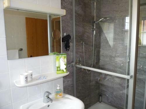 Hostal Gasthof Zur Schwane