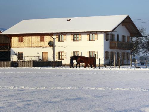 Apartamento Springerhof
