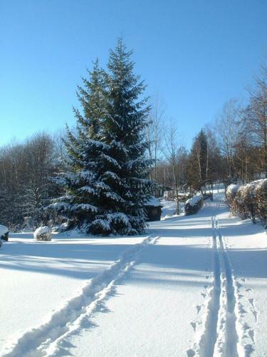 Hostal Pension Wimmer Am Buchenacker