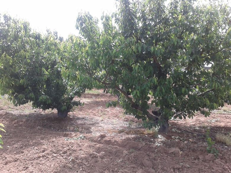 Agroturismo Casa Rural La Vallejera