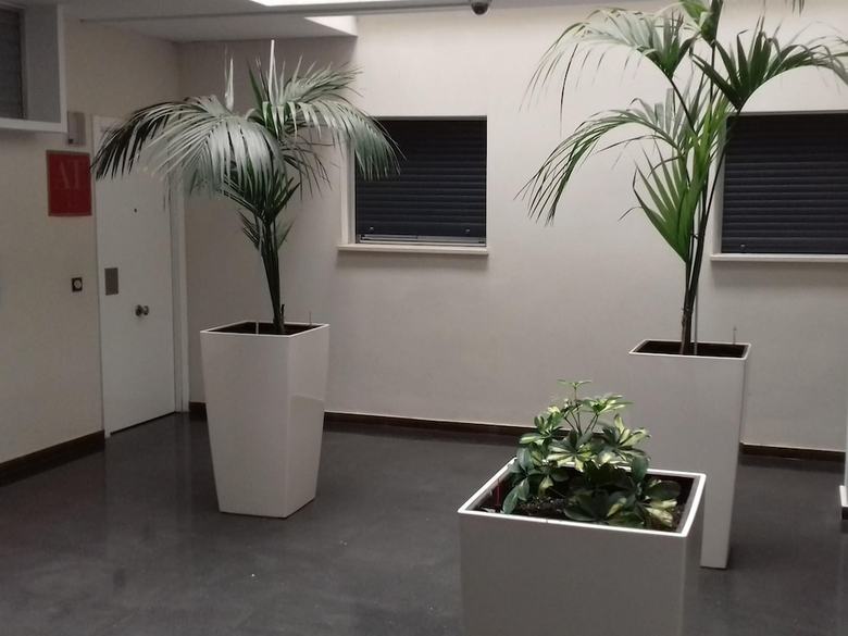 Apartamentos Tur�sticos Los �ngeles