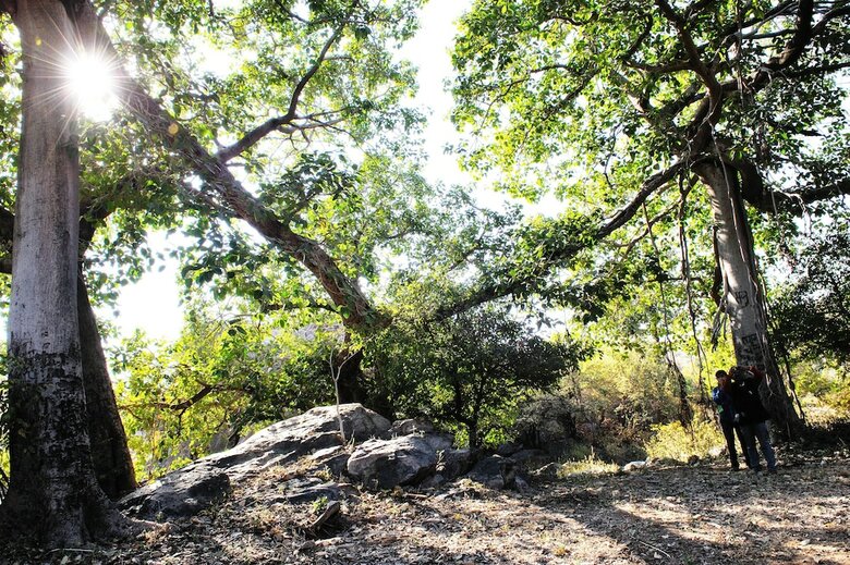 Apartamento Shikar Oudi Jungle Villa