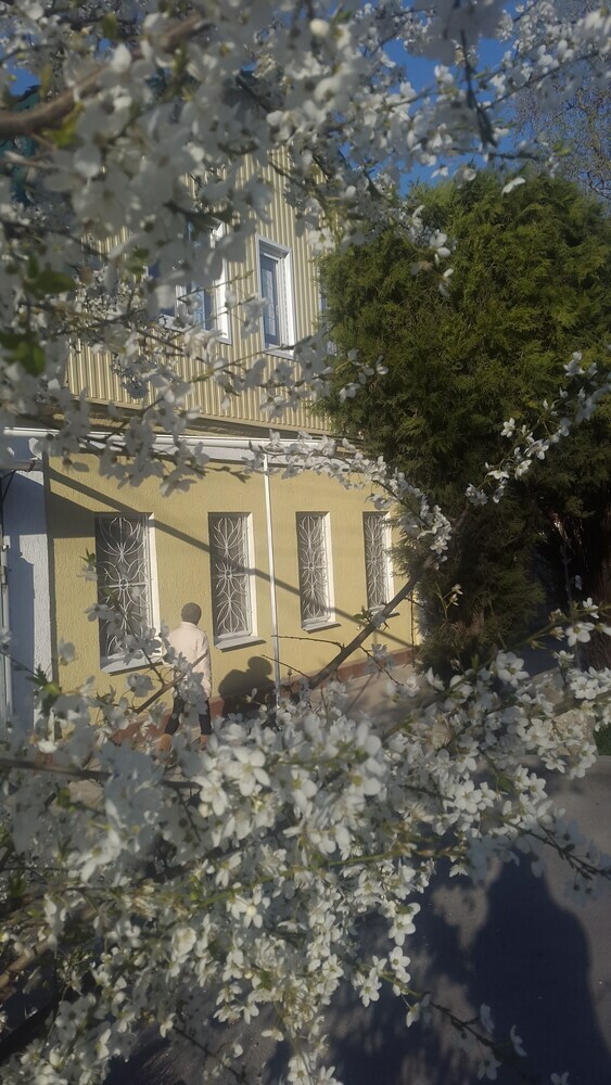 Hostal Hostel Svoi