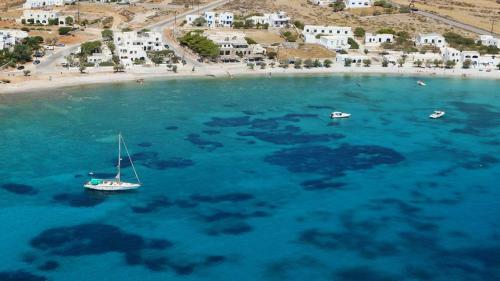 Hotel Amo Suites & Spa