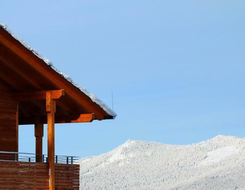 Berghotel Moosh�tte