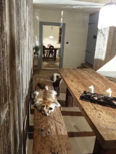 Apartamento Ickelhaus 1
