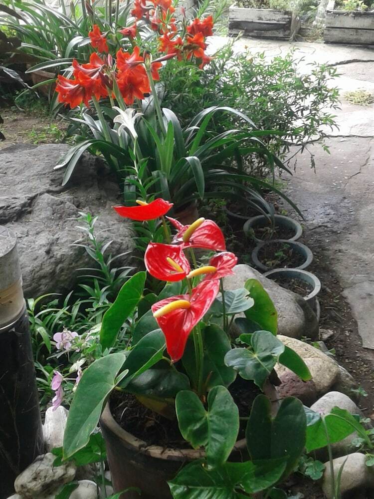 Taitung Linyuan B&B