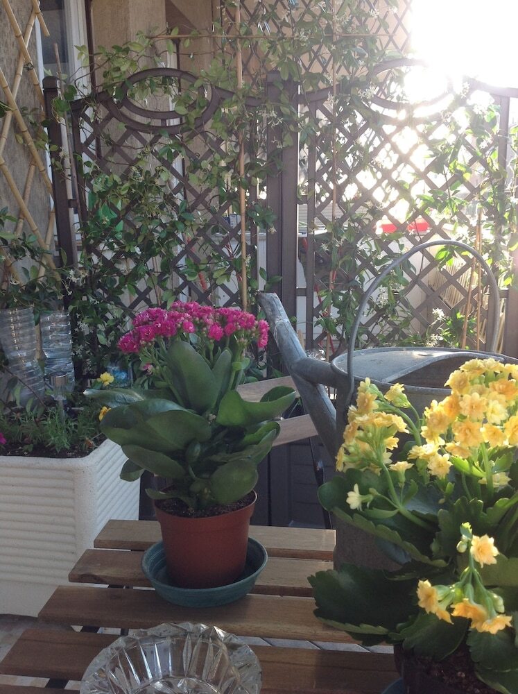 Apartamento Interno 8
