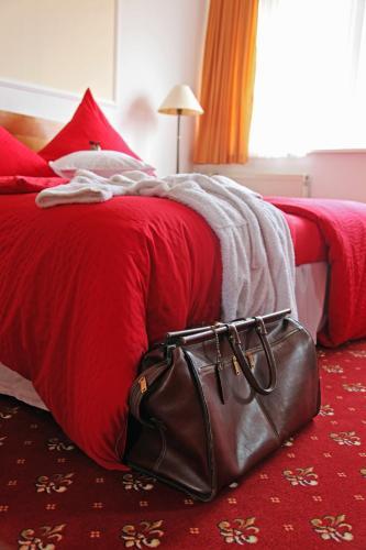 Hotel Antares