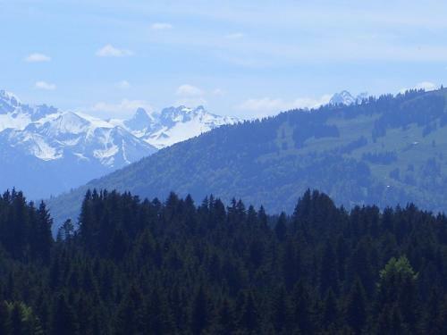 Apartamento G�stehaus Rimmel