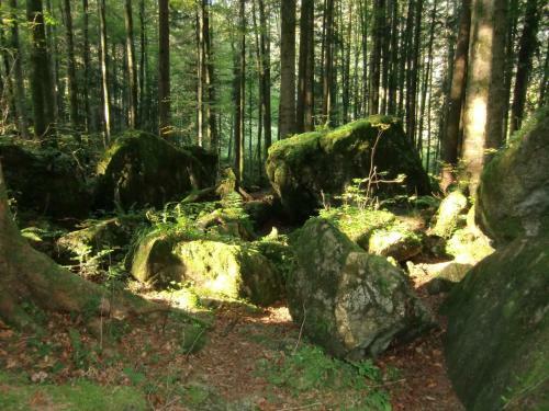 Apartamento Ferienwohnung Salettl