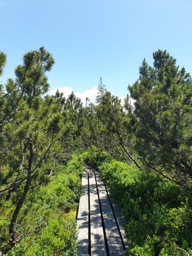 Apartamento Haus Bergblick