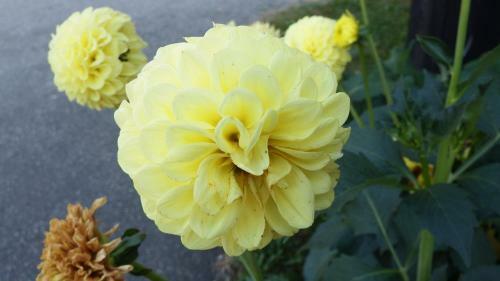 Apartamento Haus Bergblick