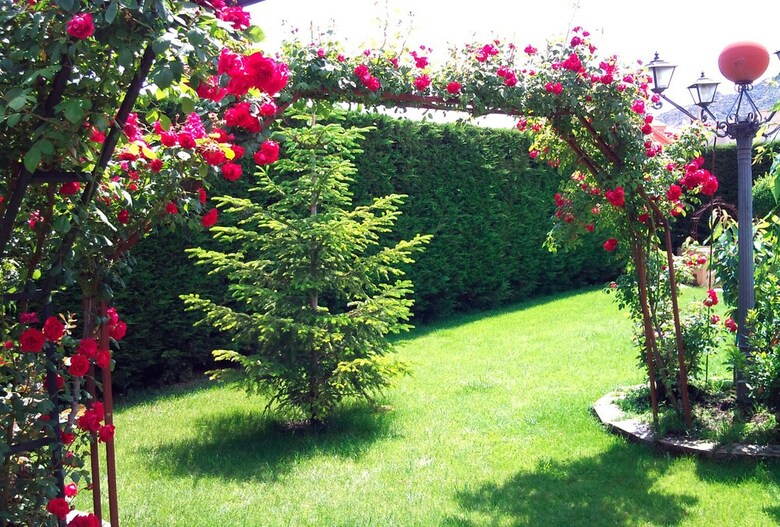 Agroturismo Casa Rural El Berrueco