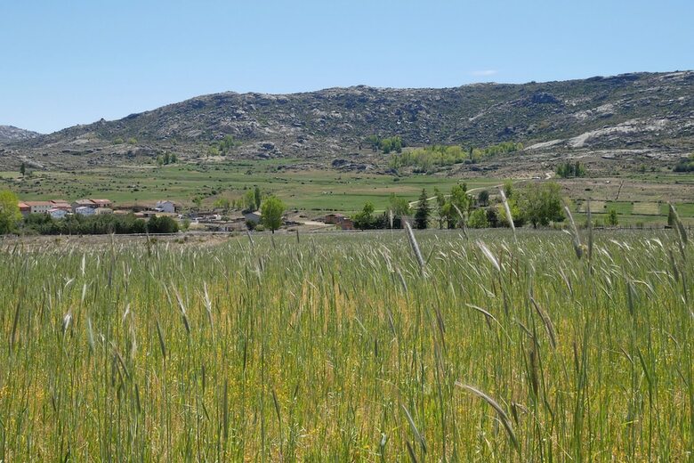 Agroturismo Casa Rural El Berrueco