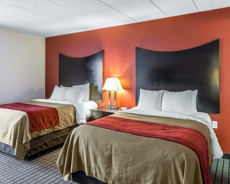 Hotel Comfort Inn & Suites Bwi Airport