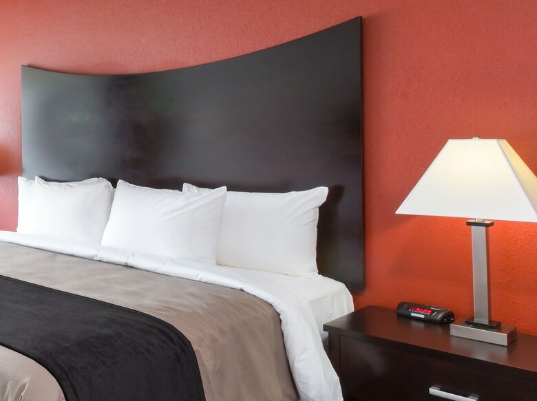 Hotel Comfort Inn & Suites Bwi Airport