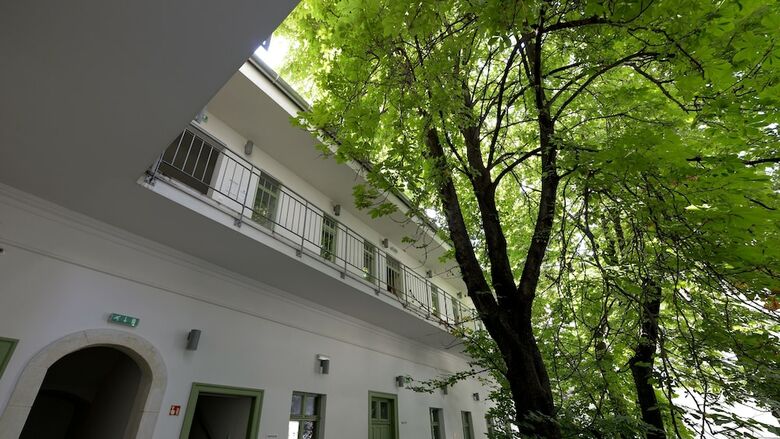Hostal The Hive Party Hostel