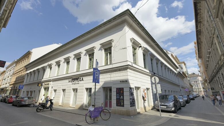 Hostal The Hive Party Hostel