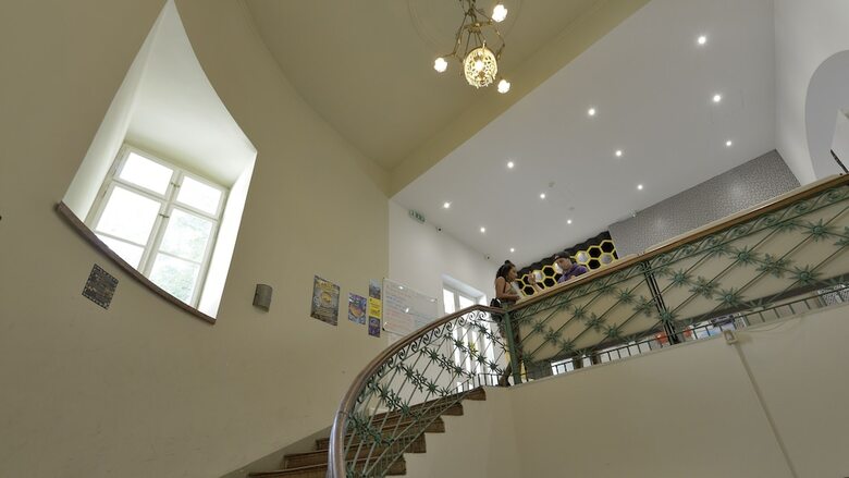 Hostal The Hive Party Hostel