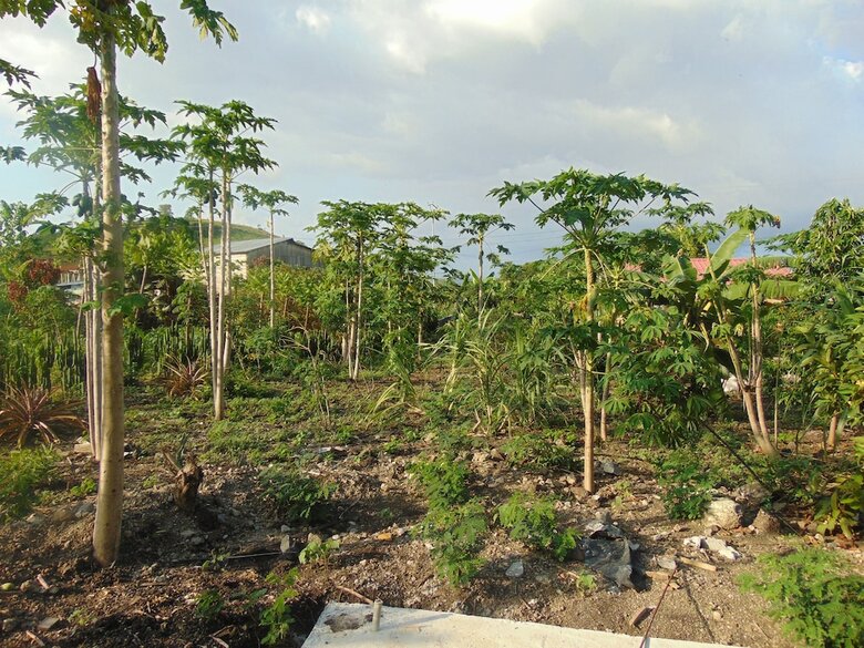 Hotel Resid�ncial Tamarindos