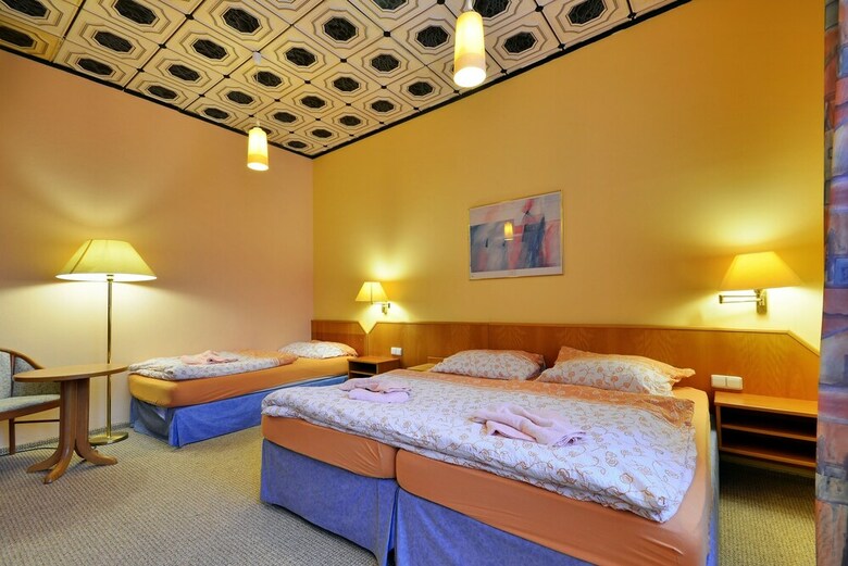 Pension Wellness Penzion Krom??�? - Zlobice