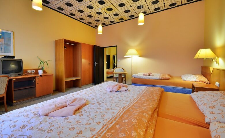 Pension Wellness Penzion Krom??�? - Zlobice