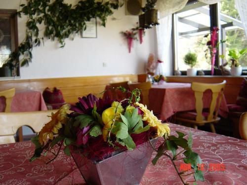 Hostal Landhaus Am Forst