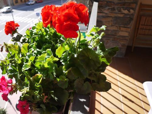 Apartaments Inter Esqu�