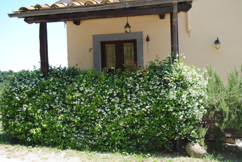 Agroturismo Agriturismo Tenuta Serpepe