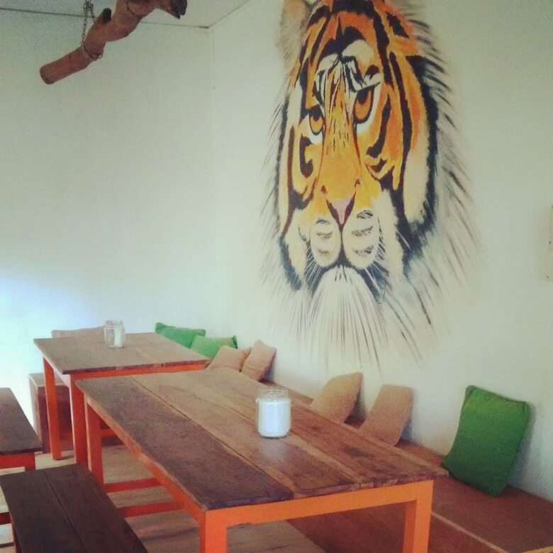 Hostal Jungle By Thehostelcrowd