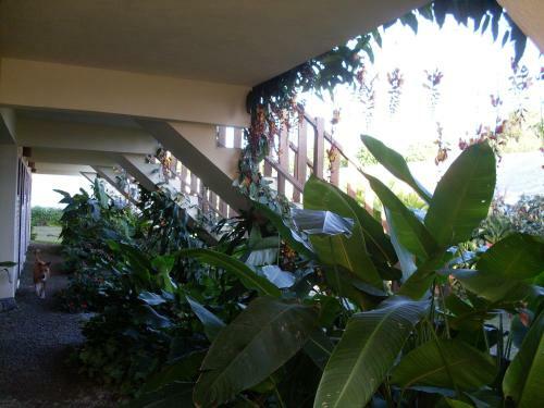 Hostal Chal�s Ancoradouro