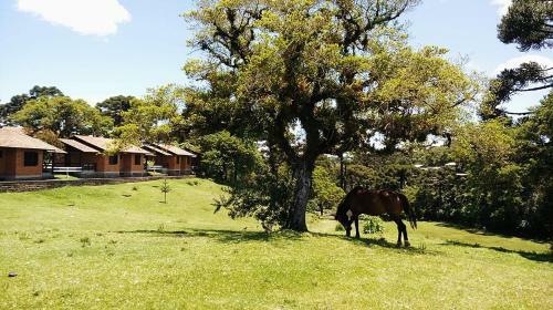 Hotel Das Arauc�rias