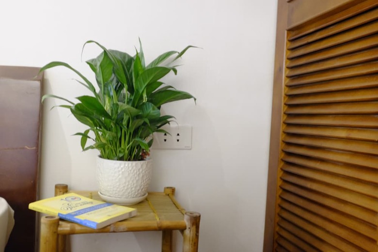 Apartamentos A Green Home