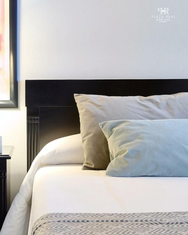 Hotel Plaza Real Suites