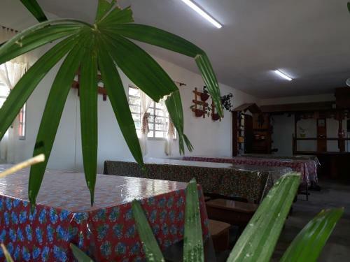 Hostal Pousada Recanto �guas Vivas