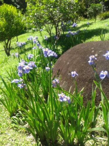 Hostal Pousada Recanto �guas Vivas