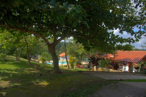 Hostal Pousada Cora��o Verde