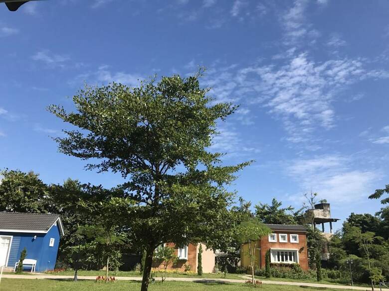 Hotel Doitung View Resort