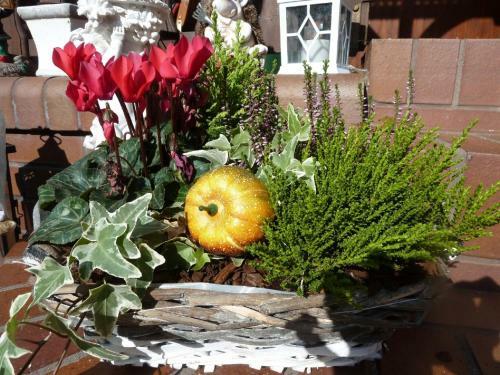 Hostal G�stehaus Am Schlo�park