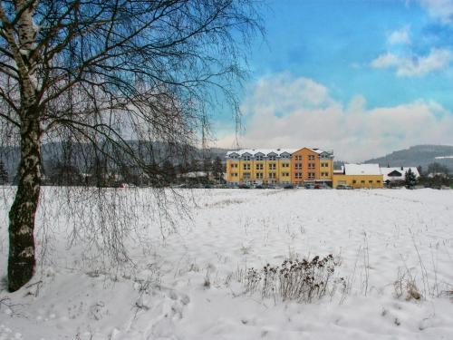 Rebhan's Business & Wellness Hotel