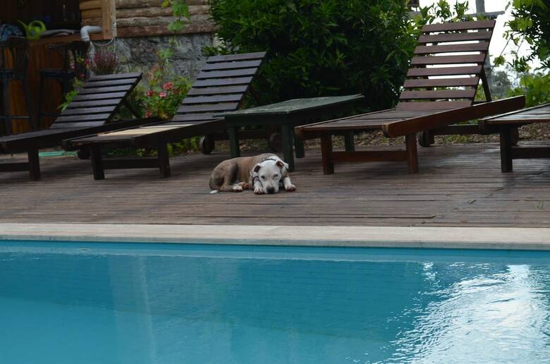 Bed & Breakfast Faralya Limon Hotel