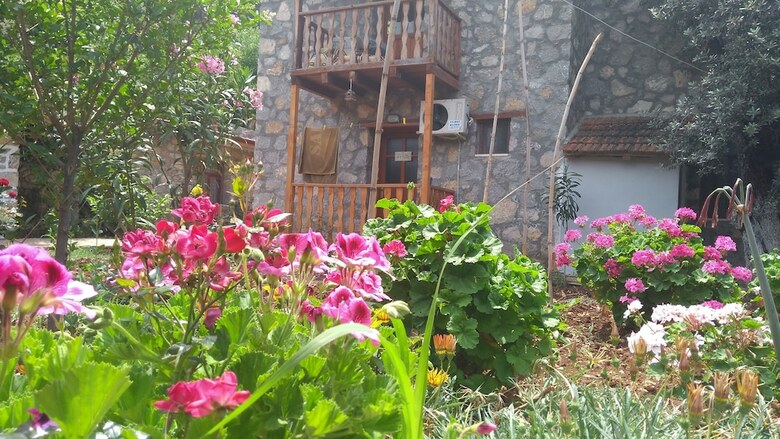 Bed & Breakfast Faralya Limon Hotel