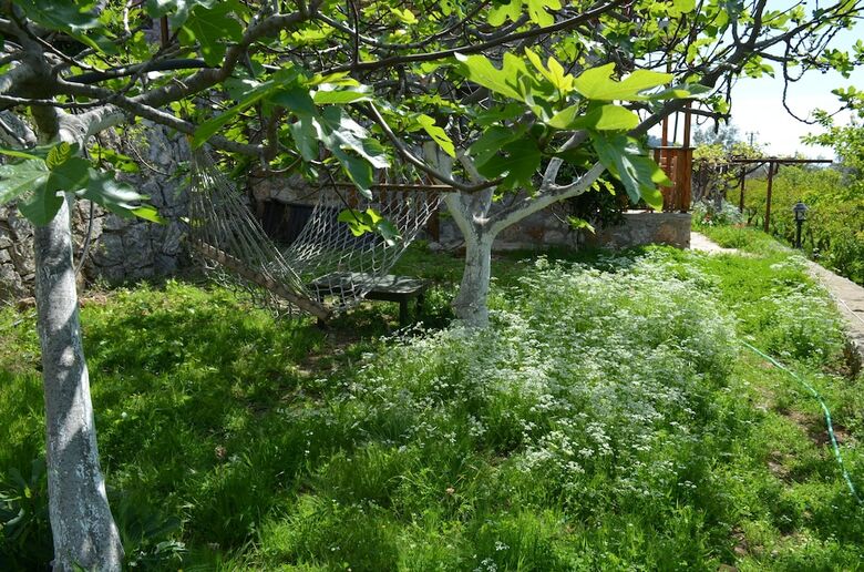 Bed & Breakfast Faralya Limon Hotel