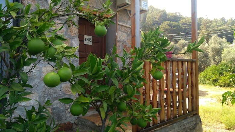 Bed & Breakfast Faralya Limon Hotel