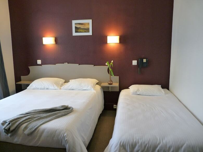 Hotel H�tel D'al�ry