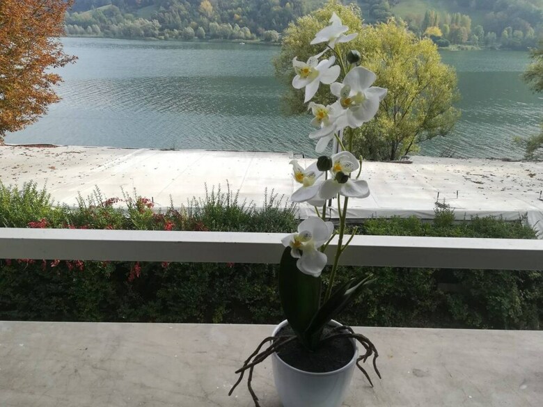 Apartamento Feel At Home - Casa Tiziana