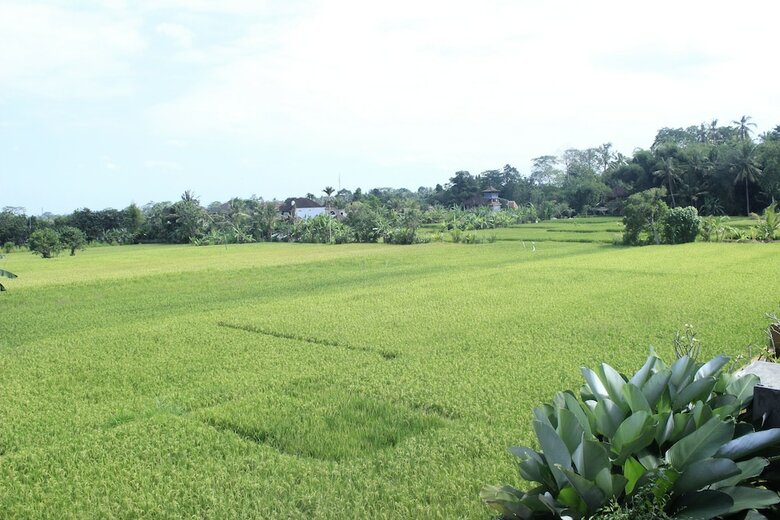 Heaven Villa Ubud